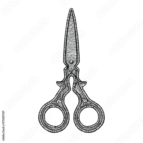 Elegant Scissors Applique Line Art Vector