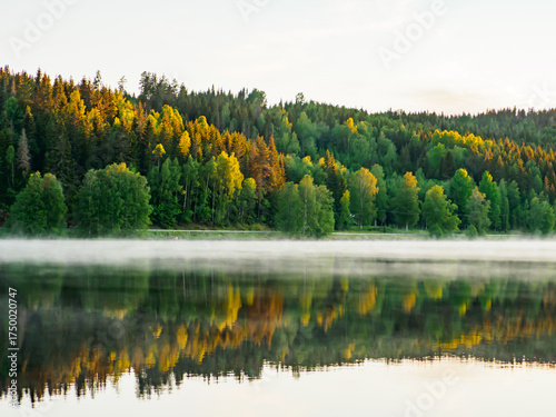 Fotografi sweden