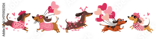 A set of flat vector illustrations in a simple children's style on the theme of Valentine's Day. Cute dachshunds wearing sunglasses, pink clothes, and holding heart-shaped balloons. . Vector