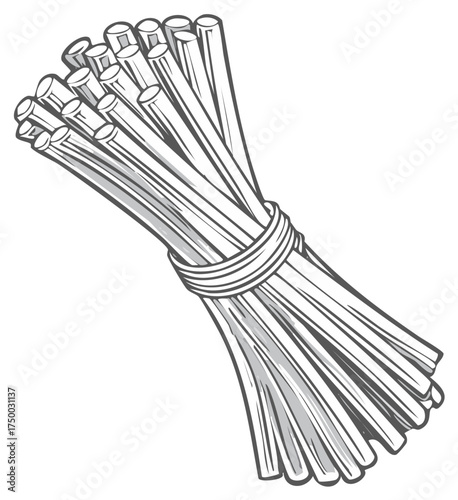 A classic black and white hand drawn illustration of a bundle of uncooked spaghetti pasta