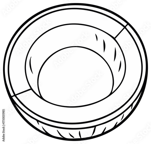 Tropical half coconut fruit shell outline drawing detailed healthy food illustration