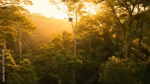 Drone Flying Over Lush Forest at Sunset