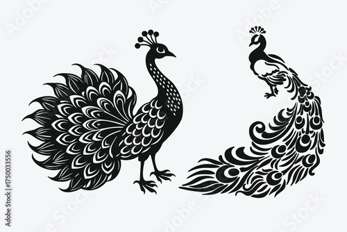 Cute cartoon peacock and turkey bird vector illustration drawing with feathers and beak