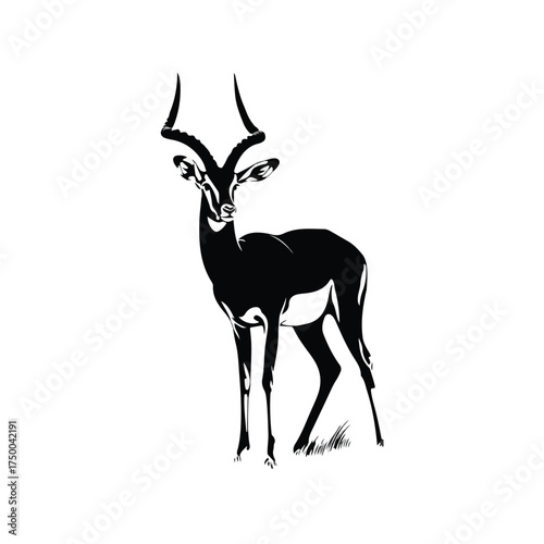 Minimalist Black and White Antelope Outline