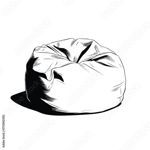 Sleek Black and White Bean Bag Design