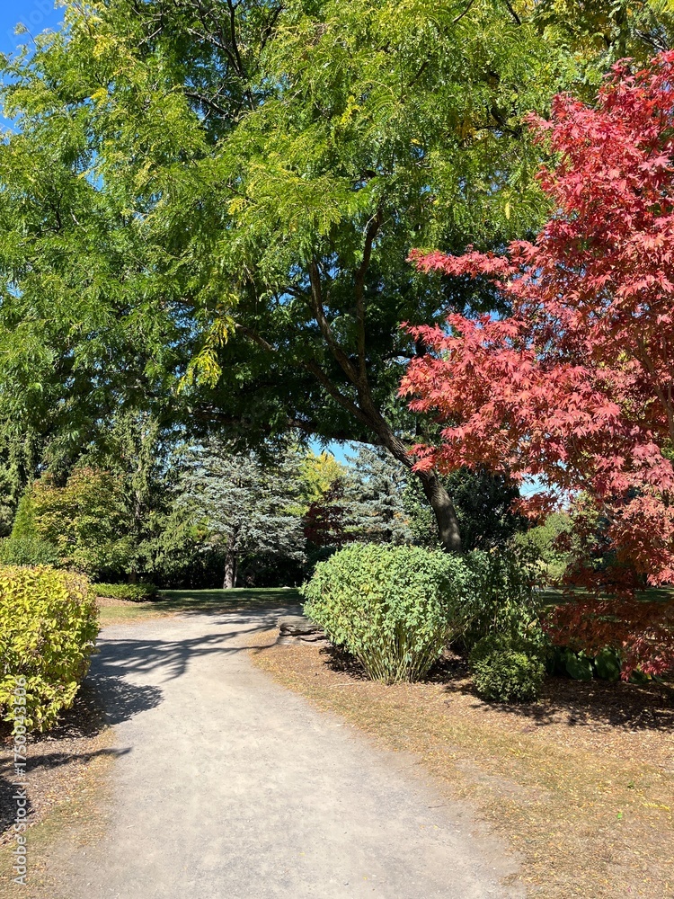 Naklejka premium Autumn in full bloom