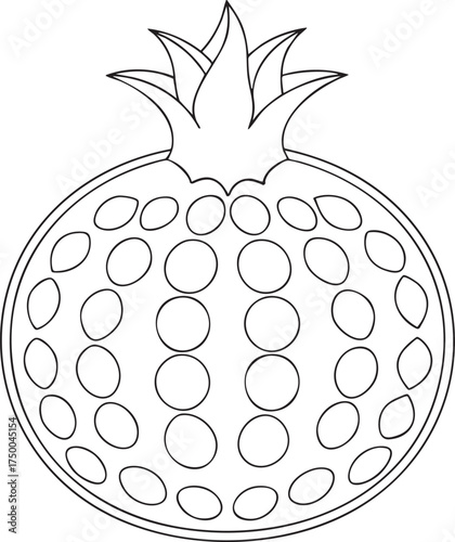 Simple line art pomegranate fruit drawing perfect for coloring pages educational content or creative design projects