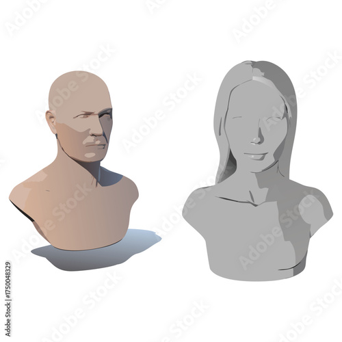 Male female mannequin head bust drawing illustration for art reference design tutorial and study aid
