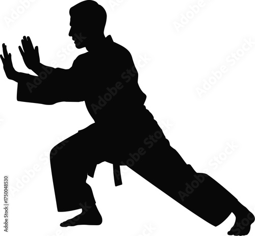 Silhouette of a martial artist in a defensive stance isolated on white background, ready to strike