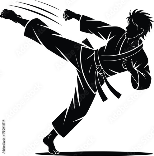 Silhouette of a martial artist performing a side kick, isolated on white background