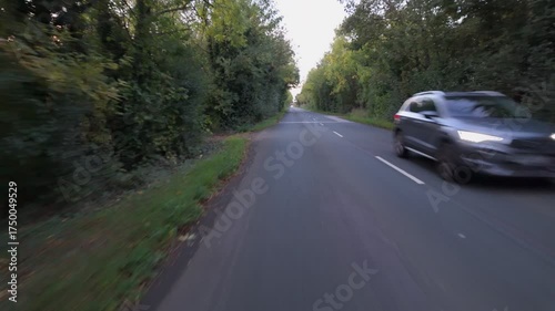 Road country lane, night. 