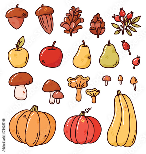 autumn set