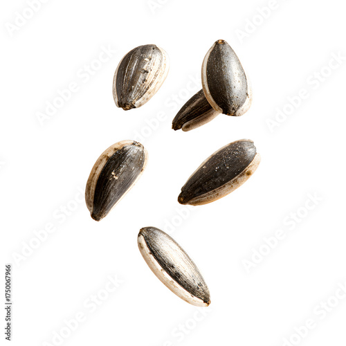 Wallpaper Mural Dried sunflower seeds falling mid air, organic foods, healthy snacks isolated on transparent background Torontodigital.ca