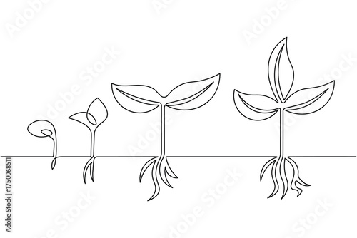 Seed growth plant process continuous one line drawing white background minimal nature and elegant outline vector illustration