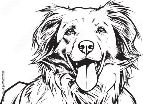 selective-focus-shot-adorable-kooikerhondje-dog vector line art
