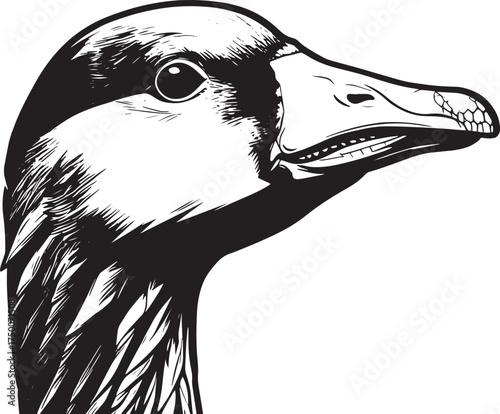 shallow-focus-head-greylag-goose-anser-anser-blurred-background vector line art