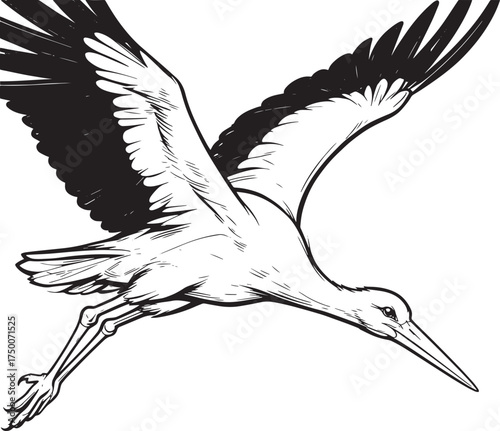 selective-focus-shot-white-stork-landing-ground vector line art
