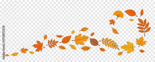 Autumn leaves in the form of a spiral are highlighted on a transparent background. Seasonal elements for your autumn design. Vector EPS 10.