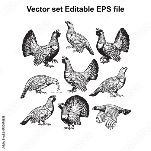 Vector art of a collection of detailed black and white vector illustrations of various birds, including pheasants, partridges, and grouse, depicted in different poses and actions, isolated on a