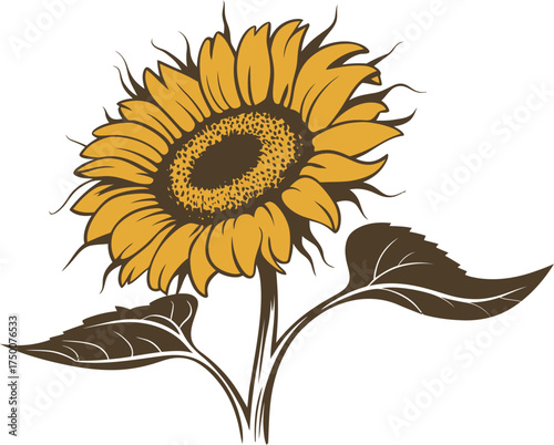 Sunflower illustration drawing yellow sunflower flower floral design nature art
