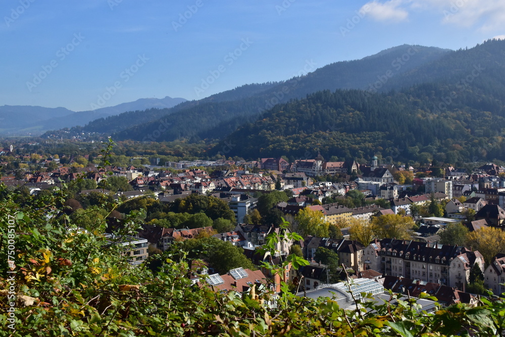 Obraz premium Der Osten von Freiburg im Herbst