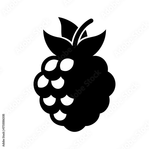 Blackberry Fruit Black Silhouette Vector Illustration