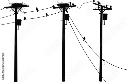 Silhouette utility poles, birds on power lines, nest and wildlife, electricity distribution network, urban energy grid, electrical infrastructure, industrial skyline, nature coexistence