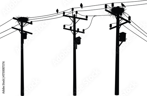 Silhouette utility poles, birds on power lines, nests and birdhouse, electricity distribution network, urban energy grid, electrical infrastructure, industrial skyline, nature coexistence