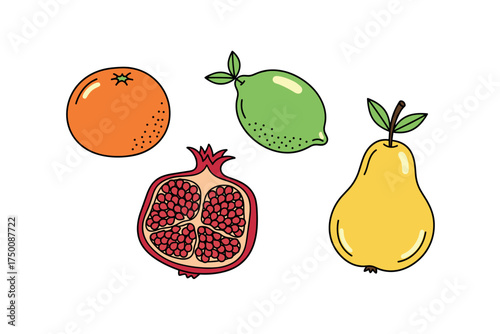 Colorful citrus fruits and pomegranate illustration. Colorful icons set illustrated