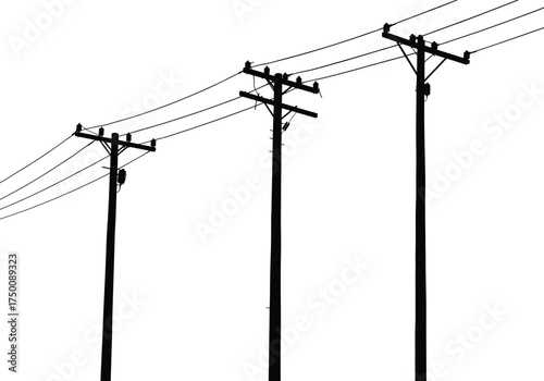 Silhouette utility poles, electricity distribution network, power line infrastructure, transformers and 