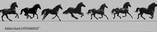 Black horse silhouette showing the animation sequence of a gallop.