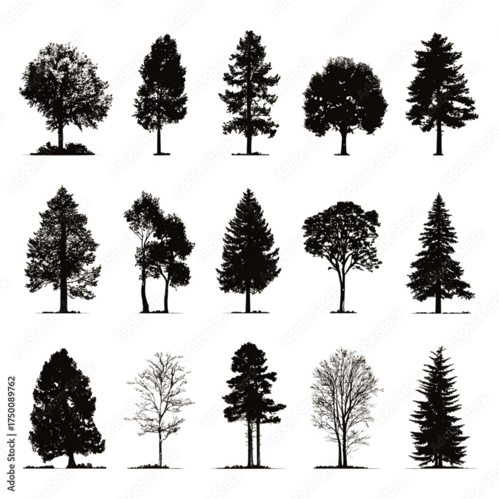 Fototapeta premium A diverse collection of black tree silhouettes isolated on a white background.