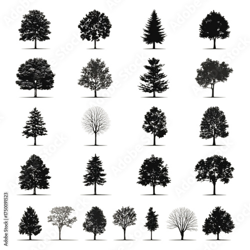 A diverse collection of black tree silhouettes isolated on white.