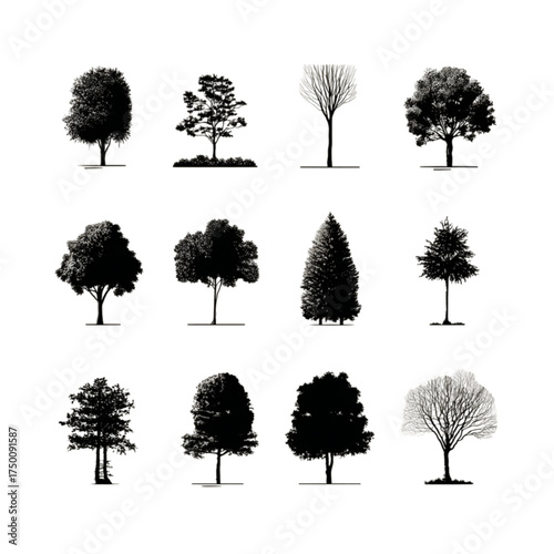 Collection of twelve black tree silhouettes isolated on a white background.