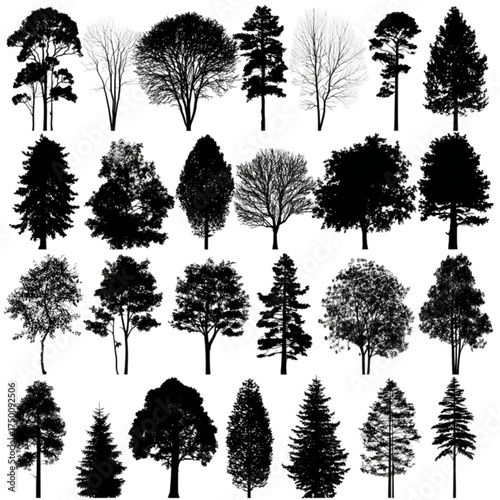 A diverse collection of black tree silhouettes isolated on white.