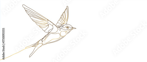 Elegant line art illustration of a flying swallow bird.