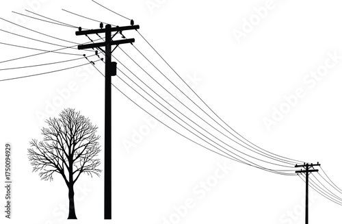 Utility pole silhouettes, electricity distribution network, power lines with tree, urban energy grid, infrastructure and nature, electrical system, perspective depth, contrast design