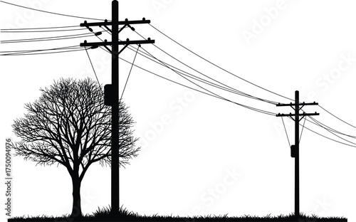 Utility pole silhouettes, electricity distribution network, power lines with tree, urban energy grid, infrastructure and nature, electrical system, environmental context, contrast design