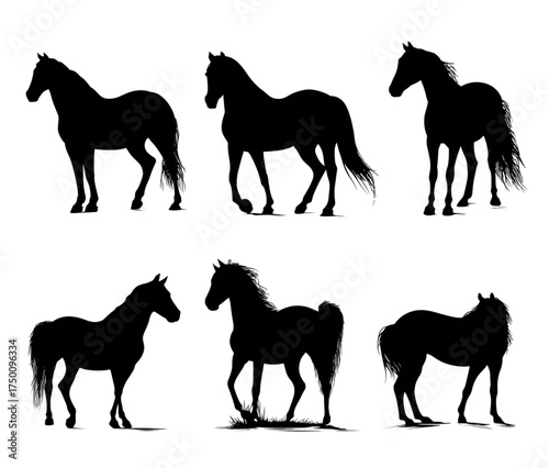 Set of six black horse silhouettes in various poses.
