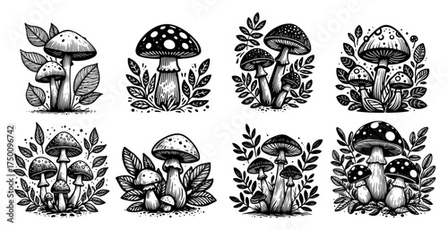 Decorative Mushrooms Bouquet Set – detailed woodland fungi with leaves hand-drawn vector collection