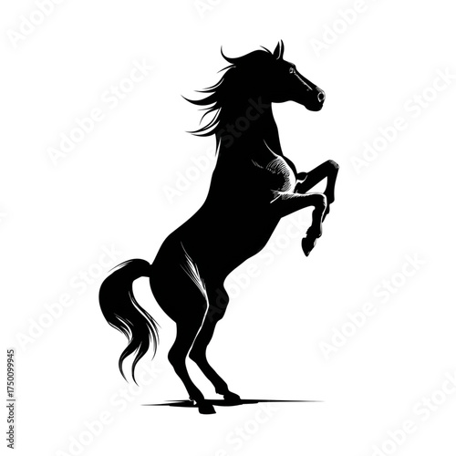 Powerful black stallion horse rearing up in a majestic silhouette.