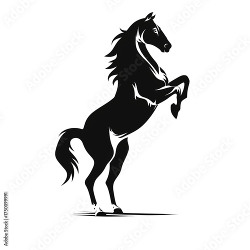 Powerful black stallion horse rearing up in a dynamic silhouette pose.