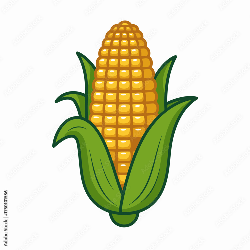 Obraz premium Fresh Corn on the Cob with Green Husks Isolated on White Background Healthy Vegetarian Food Concept Illustration