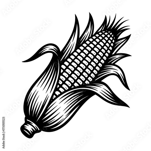 Detailed Black and White Illustration of Ripe Corn on the Cob with Husk and Kernel Texture