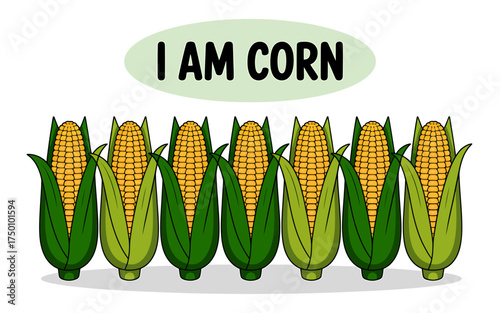 Row of fresh sweet corn cobs with green husks and the text I AM CORN illustration for educational or advertising purposes