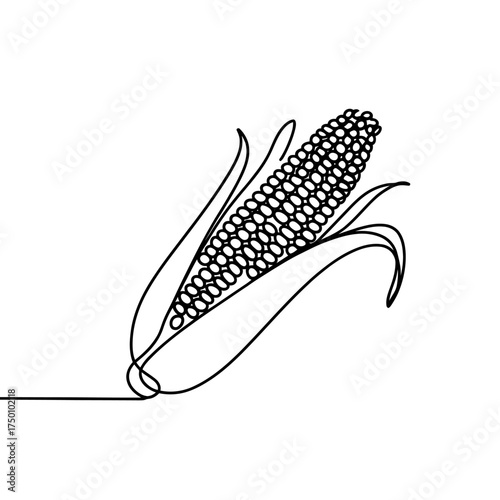 Continuous line drawing of an ear of corn on the cob minimalist vector artwork illustration graphic design simple food agriculture farm organic