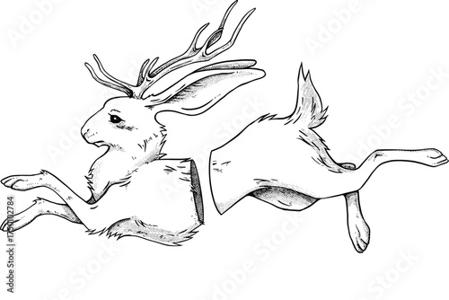 jackalope