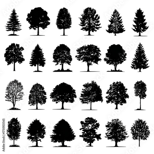 A diverse collection of black tree silhouettes on a white background.