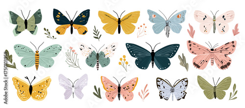 Artistic collection of various colorful butterfly and moth designs.