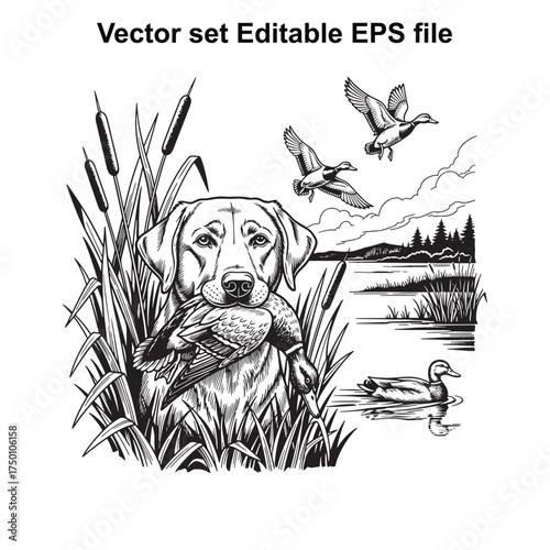 Vector art of hunting dog with duck in mouth, ducks flying, reeds, lake, and trees, , editable eps file, depicting retriever and waterfowl